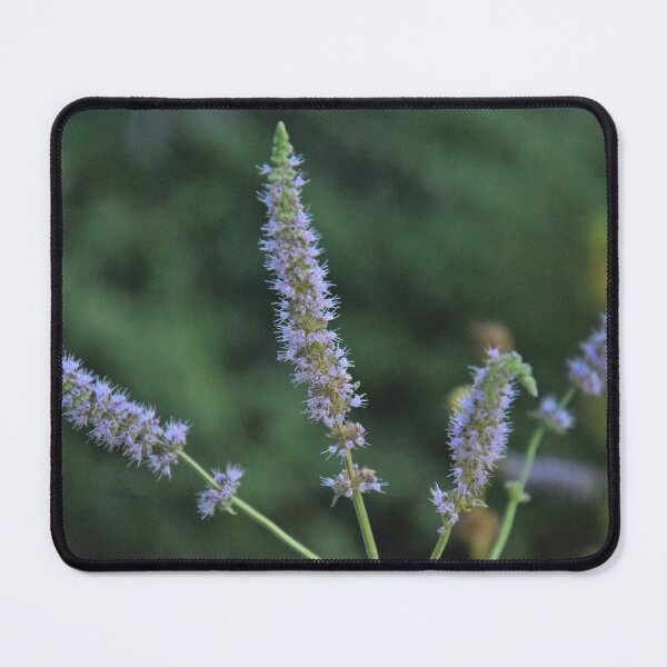 Item preview, purple flower with soft background designed and sold by Sapphire-Sheaf.