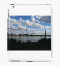 Waterscape iPad Case/Skin