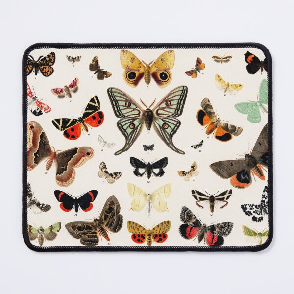 Item preview, Antique Butterfly and Moth (digitally remastered) designed and sold by Vintage-Gallery.