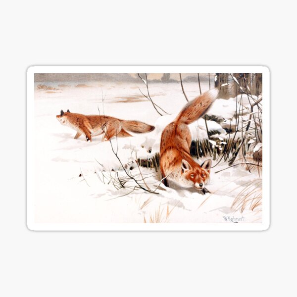 Zorros en la nieve - W. Kuhner (remasterizado digitalmente) Pegatina