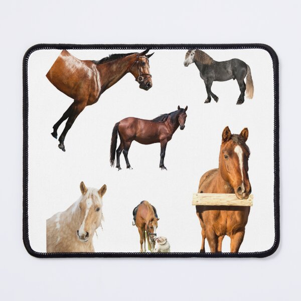 Item preview, 1st Alerted  Horse Stickers Bundle, Horse Lover Essential Package. Horses Stickers. Cute Animals Lover And Animal Adorer Sticker Set. Basic Mustang Sticker Kit. Cute Equestrian And Cowboy Packet designed and sold by AnimalStickers-.