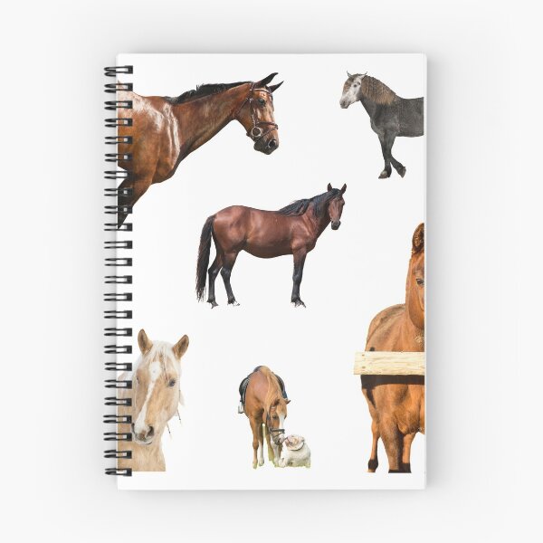 Item preview, 1st Alerted  Horse Stickers Bundle, Horse Lover Essential Package. Horses Stickers. Cute Animals Lover And Animal Adorer Sticker Set. Basic Mustang Sticker Kit. Cute Equestrian And Cowboy Packet designed and sold by AnimalStickers-.