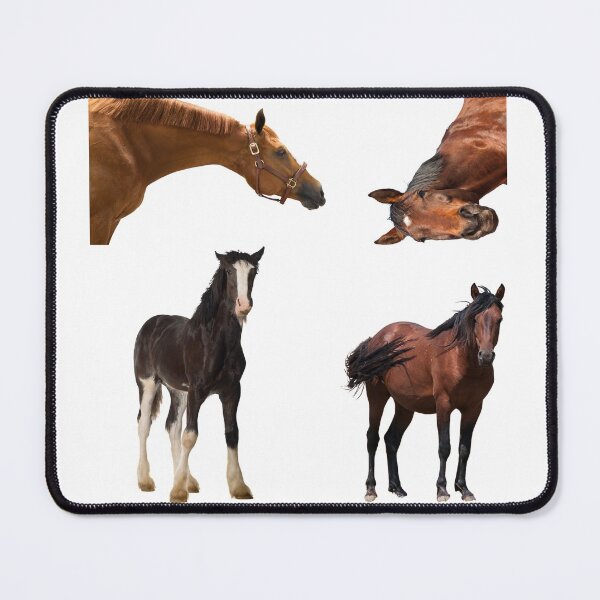 Item preview, 2nd Alerted  Horse Stickers Bundle, Horse Lover Essential Package. Horses Stickers. Cute Animals Lover And Animal Adorer Sticker Set. Basic Mustang Sticker Kit. Cute Equestrian And Cowboy Packet designed and sold by AnimalStickers-.