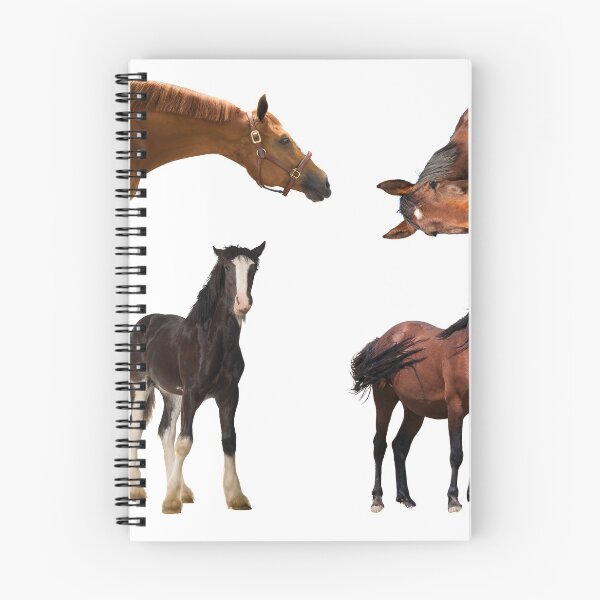 Item preview, 2nd Alerted  Horse Stickers Bundle, Horse Lover Essential Package. Horses Stickers. Cute Animals Lover And Animal Adorer Sticker Set. Basic Mustang Sticker Kit. Cute Equestrian And Cowboy Packet designed and sold by AnimalStickers-.