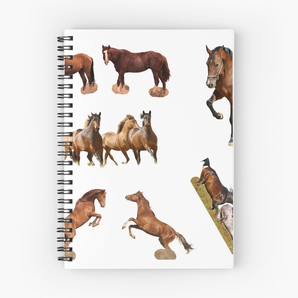 Item preview, 1st Competing  Horse Stickers Bundle, Horse Lover Essential Package. Horses Stickers. Cute Animals Lover And Animal Adorer Sticker Set. Basic Mustang Sticker Kit. Cute Equestrian And Cowboy Packet designed and sold by AnimalStickers-.