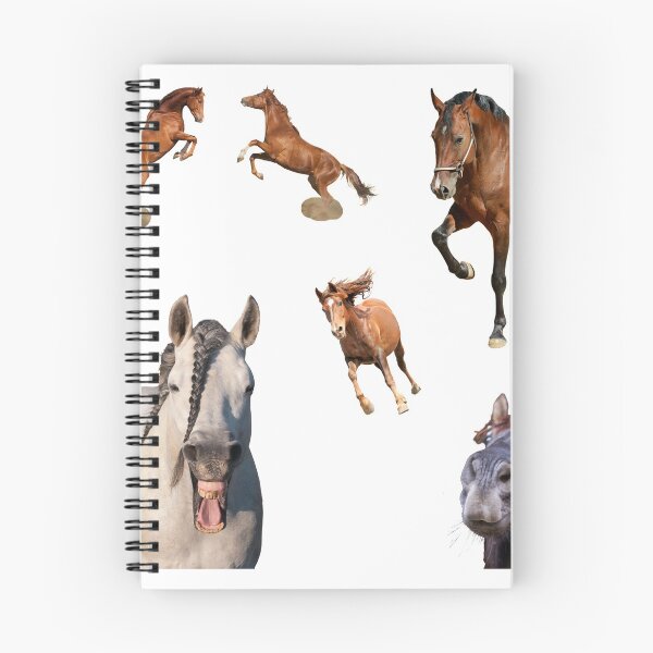 Item preview, 1st Crazy  Horse Stickers Bundle, Horse Lover Essential Package. Horses Stickers. Cute Animals Lover And Animal Adorer Sticker Set. Basic Mustang Sticker Kit. Cute Equestrian And Cowboy Packet designed and sold by AnimalStickers-.