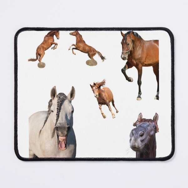Item preview, 1st Crazy Horse Stickers Bundle, Horse Lover Essential Package. Horses Stickers. Cute Animals Lover And Animal Adorer Sticker Set. Basic Mustang Sticker Kit. Cute Equestrian And Cowboy Packet designed and sold by AnimalStickers-.