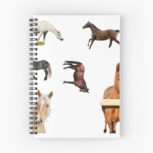 Item preview, 1st Focused  Horse Stickers Bundle, Horse Lover Essential Package. Horses Stickers. Cute Animals Lover And Animal Adorer Sticker Set. Basic Mustang Sticker Kit. Cute Equestrian And Cowboy Packet designed and sold by AnimalStickers-.