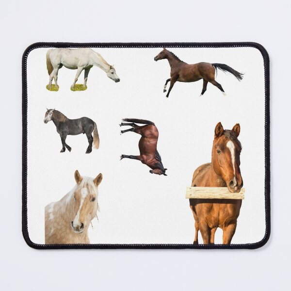 Item preview, 1st Focused  Horse Stickers Bundle, Horse Lover Essential Package. Horses Stickers. Cute Animals Lover And Animal Adorer Sticker Set. Basic Mustang Sticker Kit. Cute Equestrian And Cowboy Packet designed and sold by AnimalStickers-.