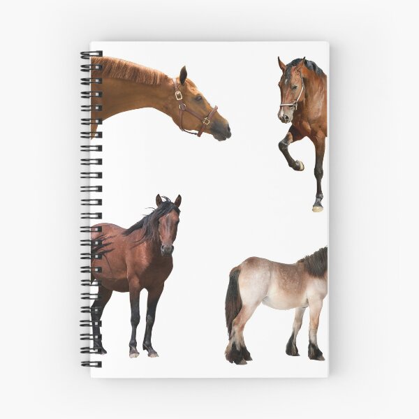 Item preview, 2nd Focused  Horse Stickers Bundle, Horse Lover Essential Package. Horses Stickers. Cute Animals Lover And Animal Adorer Sticker Set. Basic Mustang Sticker Kit. Cute Equestrian And Cowboy Packet designed and sold by AnimalStickers-.