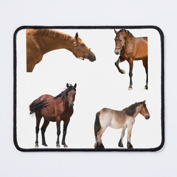 Item preview, 2nd Focused  Horse Stickers Bundle, Horse Lover Essential Package. Horses Stickers. Cute Animals Lover And Animal Adorer Sticker Set. Basic Mustang Sticker Kit. Cute Equestrian And Cowboy Packet designed and sold by AnimalStickers-.