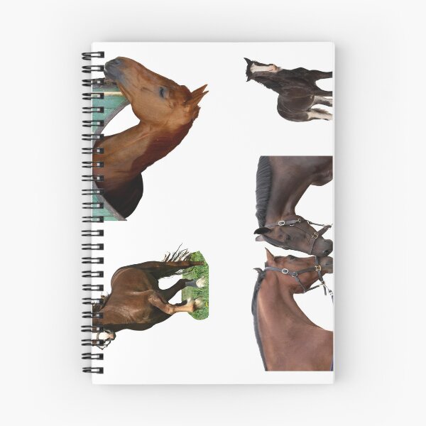Item preview, 3rd Focused  Horse Stickers Bundle, Horse Lover Essential Package. Horses Stickers. Cute Animals Lover And Animal Adorer Sticker Set. Basic Mustang Sticker Kit. Cute Equestrian And Cowboy Packet designed and sold by AnimalStickers-.