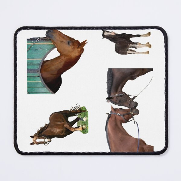 Item preview, 3rd Focused  Horse Stickers Bundle, Horse Lover Essential Package. Horses Stickers. Cute Animals Lover And Animal Adorer Sticker Set. Basic Mustang Sticker Kit. Cute Equestrian And Cowboy Packet designed and sold by AnimalStickers-.