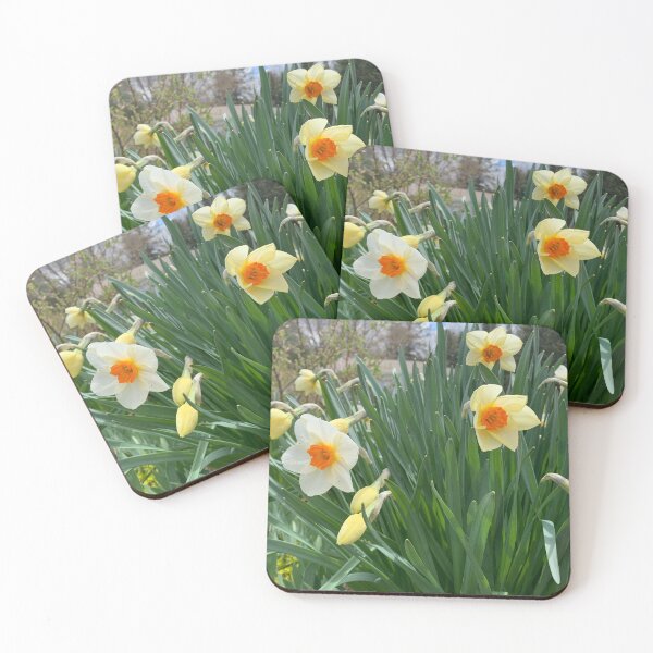 Item preview, Beautiful daffodils - flowers lover designed and sold by NathBros.