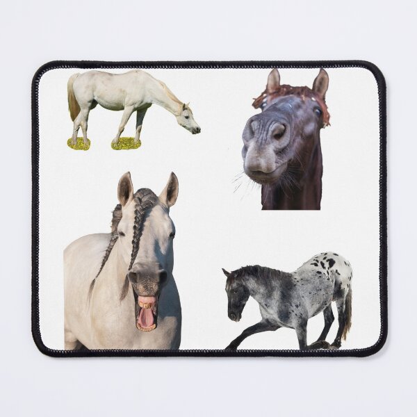 Item preview, 1st Funny  Horse Stickers Bundle, Horse Lover Essential Package. Horses Stickers. Cute Animals Lover And Animal Adorer Sticker Set. Basic Mustang Sticker Kit. Cute Equestrian And Cowboy Packet designed and sold by AnimalStickers-.