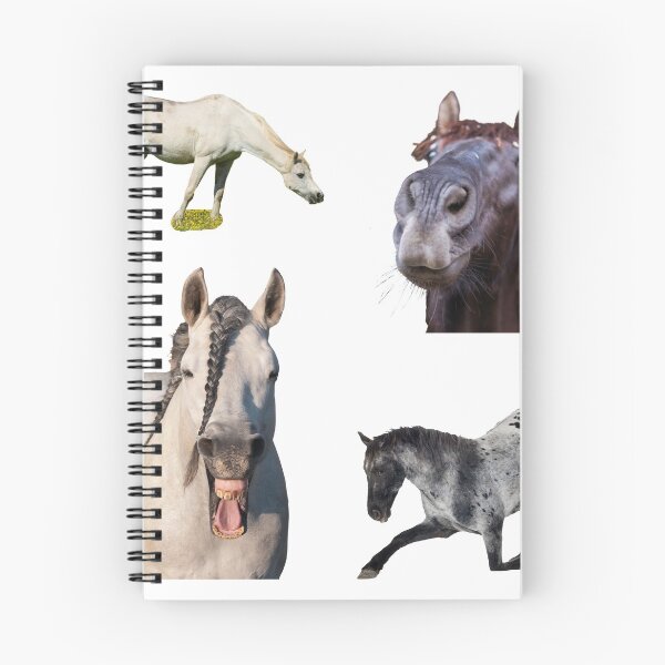 Item preview, 1st Funny  Horse Stickers Bundle, Horse Lover Essential Package. Horses Stickers. Cute Animals Lover And Animal Adorer Sticker Set. Basic Mustang Sticker Kit. Cute Equestrian And Cowboy Packet designed and sold by AnimalStickers-.