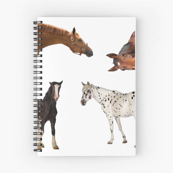 Item preview, 2nd Funny  Horse Stickers Bundle, Horse Lover Essential Package. Horses Stickers. Cute Animals Lover And Animal Adorer Sticker Set. Basic Mustang Sticker Kit. Cute Equestrian And Cowboy Packet designed and sold by AnimalStickers-.