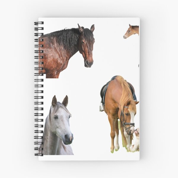Item preview, 3rd Funny  Horse Stickers Bundle, Horse Lover Essential Package. Horses Stickers. Cute Animals Lover And Animal Adorer Sticker Set. Basic Mustang Sticker Kit. Cute Equestrian And Cowboy Packet designed and sold by AnimalStickers-.