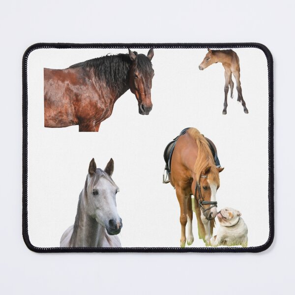 Item preview, 3rd Funny  Horse Stickers Bundle, Horse Lover Essential Package. Horses Stickers. Cute Animals Lover And Animal Adorer Sticker Set. Basic Mustang Sticker Kit. Cute Equestrian And Cowboy Packet designed and sold by AnimalStickers-.