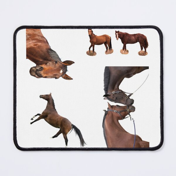 Item preview, 2nd Happy  Horse Stickers Bundle, Horse Lover Essential Package. Horses Stickers. Cute Animals Lover And Animal Adorer Sticker Set. Basic Mustang Sticker Kit. Cute Equestrian And Cowboy Packet designed and sold by AnimalStickers-.