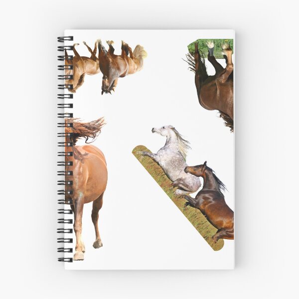 Item preview, 3rd Happy  Horse Stickers Bundle, Horse Lover Essential Package. Horses Stickers. Cute Animals Lover And Animal Adorer Sticker Set. Basic Mustang Sticker Kit. Cute Equestrian And Cowboy Packet designed and sold by AnimalStickers-.