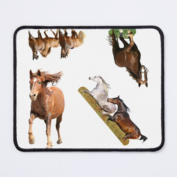 Item preview, 3rd Happy  Horse Stickers Bundle, Horse Lover Essential Package. Horses Stickers. Cute Animals Lover And Animal Adorer Sticker Set. Basic Mustang Sticker Kit. Cute Equestrian And Cowboy Packet designed and sold by AnimalStickers-.