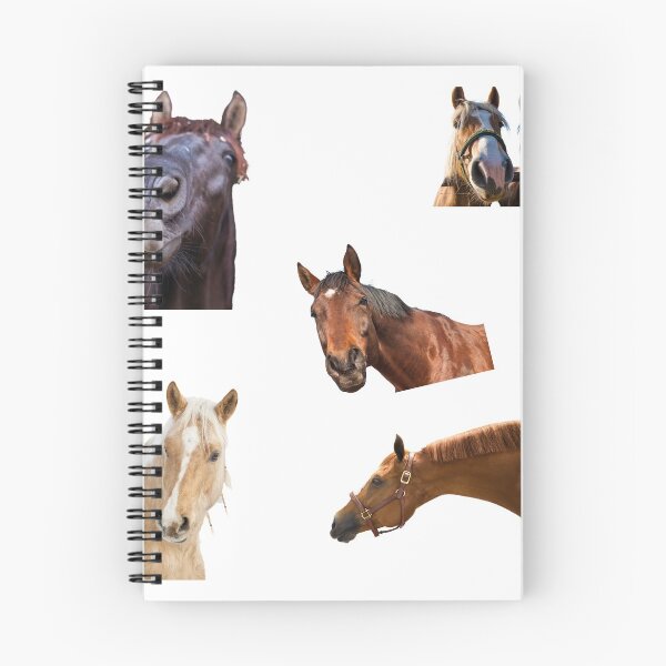 Item preview, 1st Head  Horse Stickers Bundle, Horse Lover Essential Package. Horses Stickers. Cute Animals Lover And Animal Adorer Sticker Set. Basic Mustang Sticker Kit. Cute Equestrian And Cowboy Packet designed and sold by AnimalStickers-.