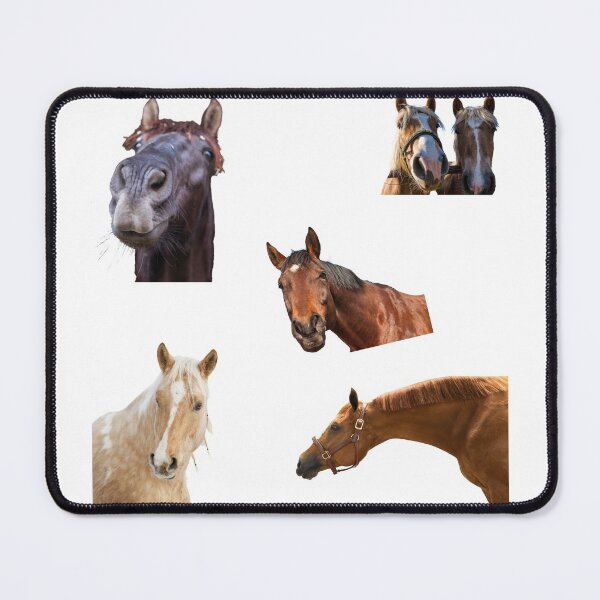 Item preview, 1st Head  Horse Stickers Bundle, Horse Lover Essential Package. Horses Stickers. Cute Animals Lover And Animal Adorer Sticker Set. Basic Mustang Sticker Kit. Cute Equestrian And Cowboy Packet designed and sold by AnimalStickers-.