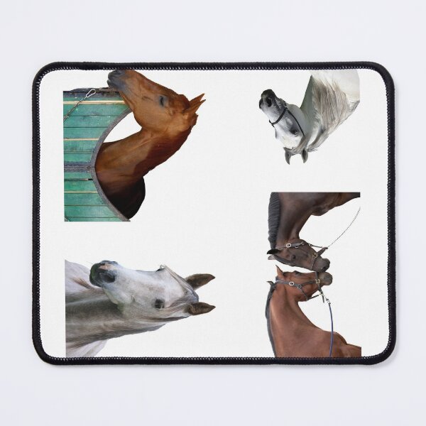 Item preview, 2nd Head  Horse Stickers Bundle, Horse Lover Essential Package. Horses Stickers. Cute Animals Lover And Animal Adorer Sticker Set. Basic Mustang Sticker Kit. Cute Equestrian And Cowboy Packet designed and sold by AnimalStickers-.