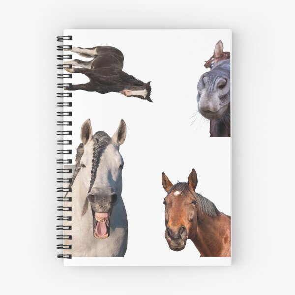 Item preview, 1st Laughing  Horse Stickers Bundle, Horse Lover Essential Package. Horses Stickers. Cute Animals Lover And Animal Adorer Sticker Set. Basic Mustang Sticker Kit. Cute Equestrian And Cowboy Packet designed and sold by AnimalStickers-.