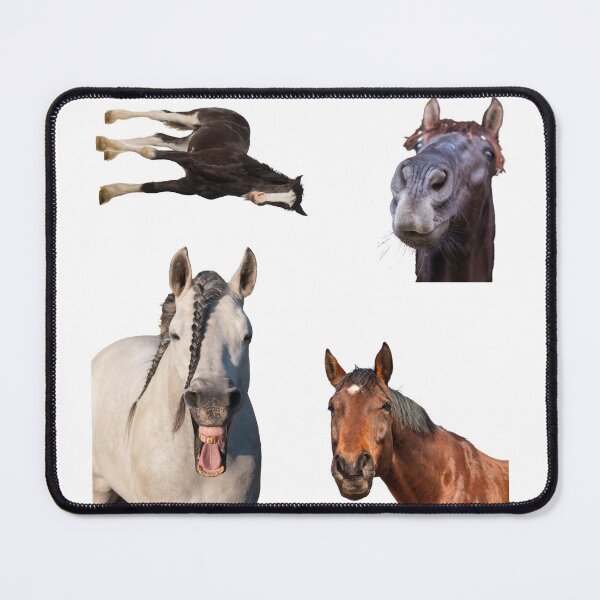 Item preview, 1st Laughing  Horse Stickers Bundle, Horse Lover Essential Package. Horses Stickers. Cute Animals Lover And Animal Adorer Sticker Set. Basic Mustang Sticker Kit. Cute Equestrian And Cowboy Packet designed and sold by AnimalStickers-.