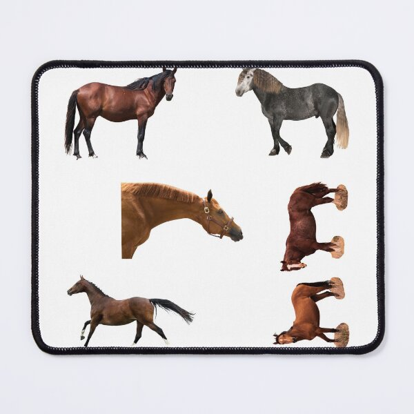Item preview, 2nd Free  Horse Stickers Bundle, Horse Lover Essential Package. Horses Stickers. Cute Animals Lover And Animal Adorer Sticker Set. Basic Mustang Sticker Kit. Cute Equestrian And Cowboy Packet designed and sold by AnimalStickers-.