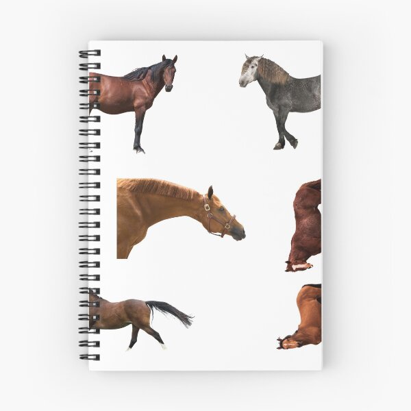 Item preview, 2nd Free  Horse Stickers Bundle, Horse Lover Essential Package. Horses Stickers. Cute Animals Lover And Animal Adorer Sticker Set. Basic Mustang Sticker Kit. Cute Equestrian And Cowboy Packet designed and sold by AnimalStickers-.