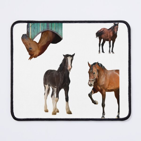 Item preview, 3rd Free  Horse Stickers Bundle, Horse Lover Essential Package. Horses Stickers. Cute Animals Lover And Animal Adorer Sticker Set. Basic Mustang Sticker Kit. Cute Equestrian And Cowboy Packet designed and sold by AnimalStickers-.