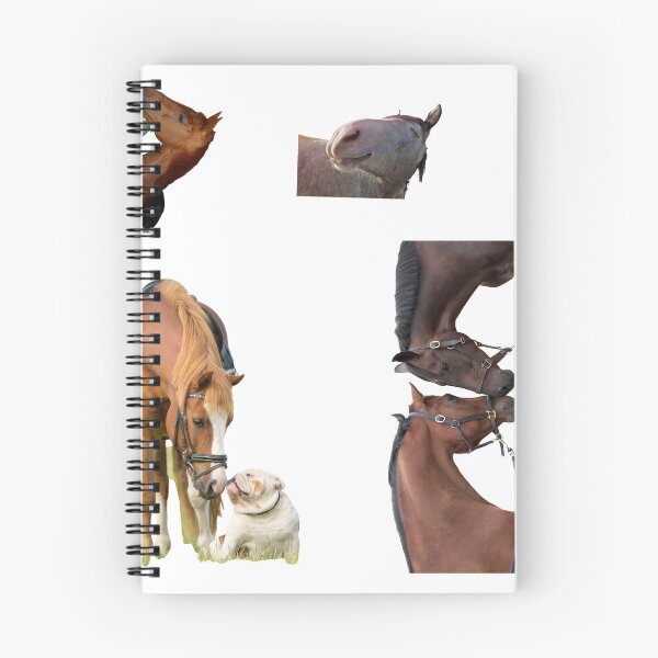 Item preview, 1st Love  Horse Stickers Bundle, Horse Lover Essential Package. Horses Stickers. Cute Animals Lover And Animal Adorer Sticker Set. Basic Mustang Sticker Kit. Cute Equestrian And Cowboy Packet designed and sold by AnimalStickers-.