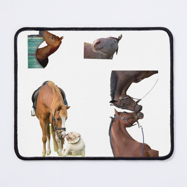 Item preview, 1st Love  Horse Stickers Bundle, Horse Lover Essential Package. Horses Stickers. Cute Animals Lover And Animal Adorer Sticker Set. Basic Mustang Sticker Kit. Cute Equestrian And Cowboy Packet designed and sold by AnimalStickers-.