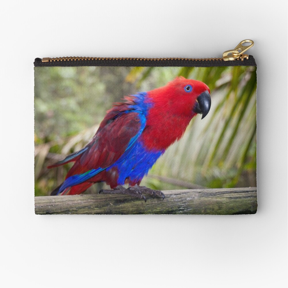 Big Red Zipper Pouch