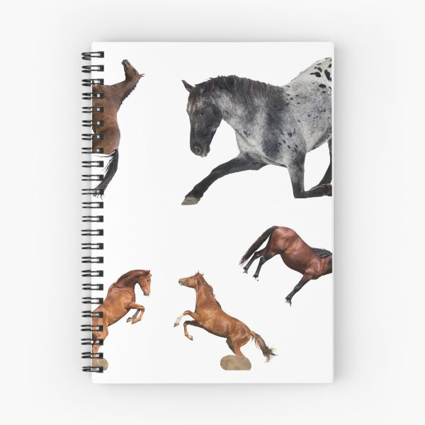 Item preview, 2nd Majestic  Horse Stickers Bundle, Horse Lover Essential Package. Horses Stickers. Cute Animals Lover And Animal Adorer Sticker Set. Basic Mustang Sticker Kit. Cute Equestrian And Cowboy Packet designed and sold by AnimalStickers-.