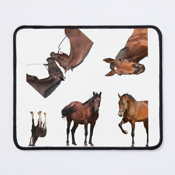 Item preview, 3rd Majestic  Horse Stickers Bundle, Horse Lover Essential Package. Horses Stickers. Cute Animals Lover And Animal Adorer Sticker Set. Basic Mustang Sticker Kit. Cute Equestrian And Cowboy Packet designed and sold by AnimalStickers-.