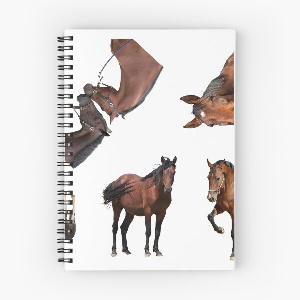 Item preview, 3rd Majestic  Horse Stickers Bundle, Horse Lover Essential Package. Horses Stickers. Cute Animals Lover And Animal Adorer Sticker Set. Basic Mustang Sticker Kit. Cute Equestrian And Cowboy Packet designed and sold by AnimalStickers-.