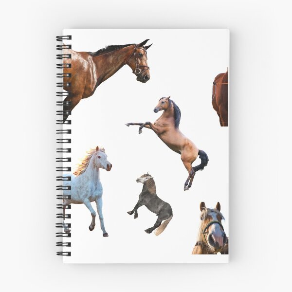 Item preview, 1st Posing  Horse Stickers Bundle, Horse Lover Essential Package. Horses Stickers. Cute Animals Lover And Animal Adorer Sticker Set. Basic Mustang Sticker Kit. Cute Equestrian And Cowboy Packet designed and sold by AnimalStickers-.