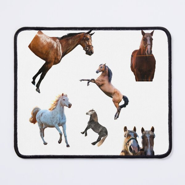 Item preview, 1st Posing  Horse Stickers Bundle, Horse Lover Essential Package. Horses Stickers. Cute Animals Lover And Animal Adorer Sticker Set. Basic Mustang Sticker Kit. Cute Equestrian And Cowboy Packet designed and sold by AnimalStickers-.