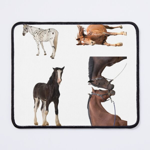 Item preview, 4th Posing  Horse Stickers Bundle, Horse Lover Essential Package. Horses Stickers. Cute Animals Lover And Animal Adorer Sticker Set. Basic Mustang Sticker Kit. Cute Equestrian And Cowboy Packet designed and sold by AnimalStickers-.