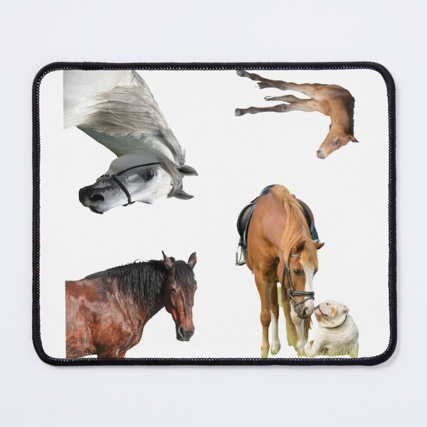 Item preview, 5th Posing  Horse Stickers Bundle, Horse Lover Essential Package. Horses Stickers. Cute Animals Lover And Animal Adorer Sticker Set. Basic Mustang Sticker Kit. Cute Equestrian And Cowboy Packet designed and sold by AnimalStickers-.