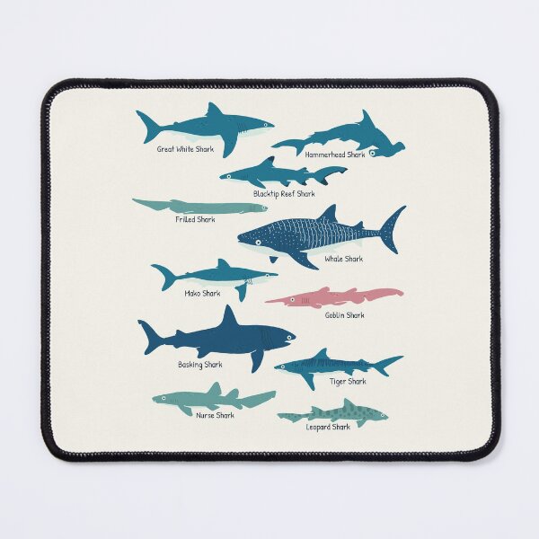 Item preview, Types Of Sharks Educational Collection Marine Biology Gifts designed and sold by JokeGysen.