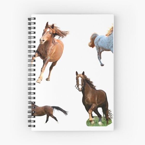 Item preview, 1st Running  Horse Stickers Bundle, Horse Lover Essential Package. Horses Stickers. Cute Animals Lover And Animal Adorer Sticker Set. Basic Mustang Sticker Kit. Cute Equestrian And Cowboy Packet designed and sold by AnimalStickers-.