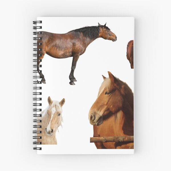 Item preview, 1st Sad  Horse Stickers Bundle, Horse Lover Essential Package. Horses Stickers. Cute Animals Lover And Animal Adorer Sticker Set. Basic Mustang Sticker Kit. Cute Equestrian And Cowboy Packet designed and sold by AnimalStickers-.