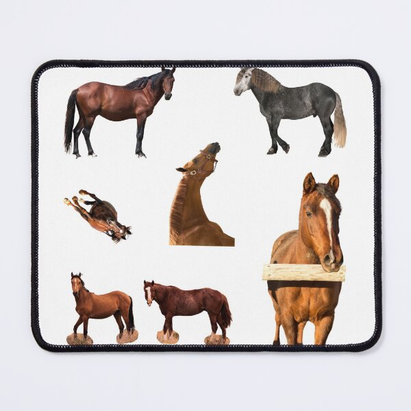 Item preview, 2nd Sad  Horse Stickers Bundle, Horse Lover Essential Package. Horses Stickers. Cute Animals Lover And Animal Adorer Sticker Set. Basic Mustang Sticker Kit. Cute Equestrian And Cowboy Packet designed and sold by AnimalStickers-.