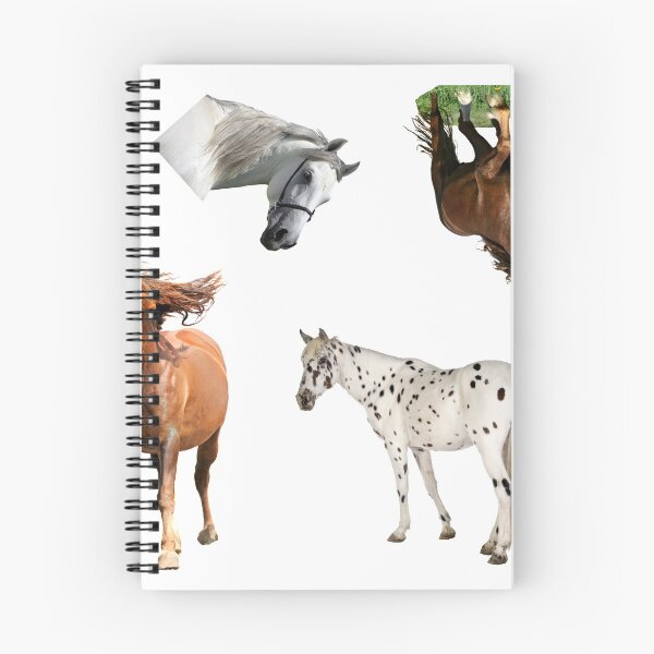 Item preview, 3rd Sad  Horse Stickers Bundle, Horse Lover Essential Package. Horses Stickers. Cute Animals Lover And Animal Adorer Sticker Set. Basic Mustang Sticker Kit. Cute Equestrian And Cowboy Packet designed and sold by AnimalStickers-.