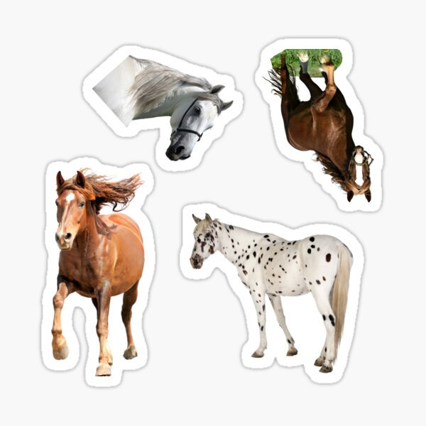 Animalstickers Shop Redbubble